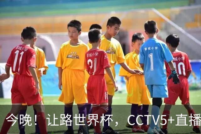 今晚！让路世界杯，CCTV5+直播中国男篮VS日本，赵继伟+杨瀚森领衔