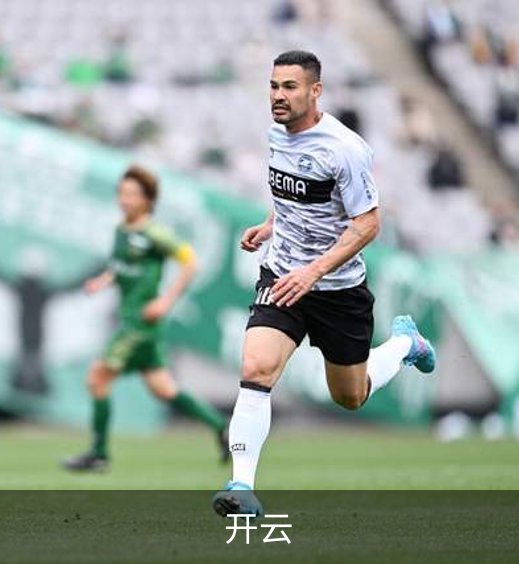 开云概况