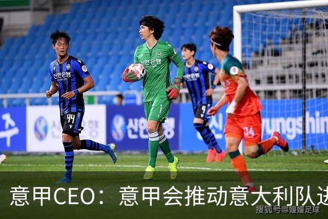 意甲CEO：意甲会推动意大利队进步 国家队低迷原因得追溯到20年前