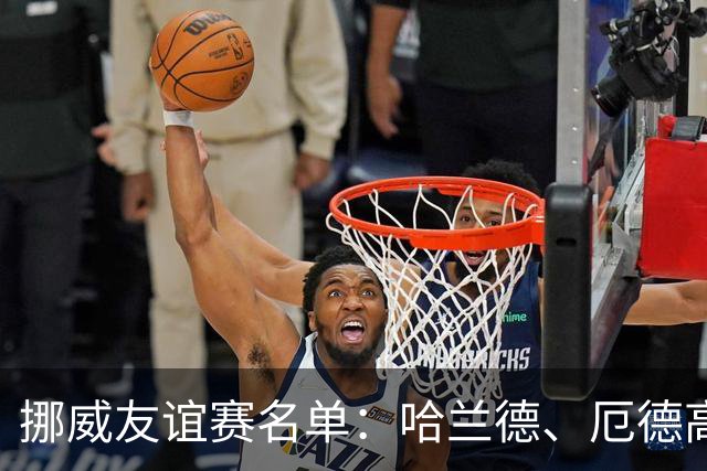 挪威友谊赛名单：哈兰德、厄德高领衔