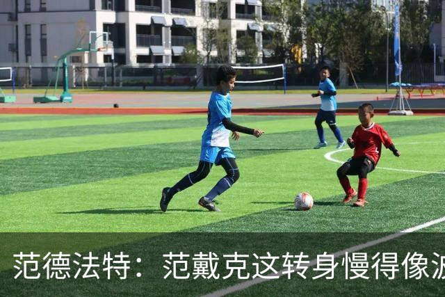 范德法特：范戴克这转身慢得像波音747，这可不是什么好事
