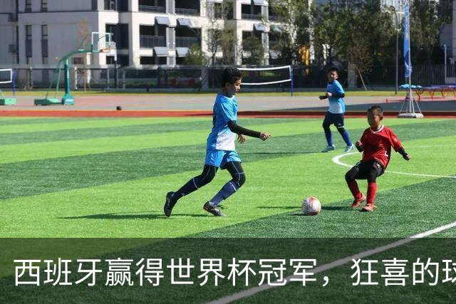西班牙赢得世界杯冠军，狂喜的球迷让马德里地震仪出现了明显晃动；首相桑切斯感谢国家队，并表示这一胜利属于全体西班牙人
