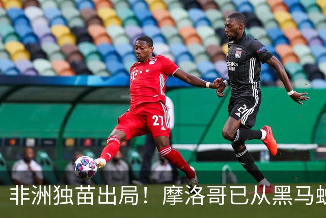 非洲独苗出局！摩洛哥已从黑马蜕变为劲旅 四年后主场见
